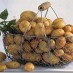 Kā tīrīt jaunos kartupeļus